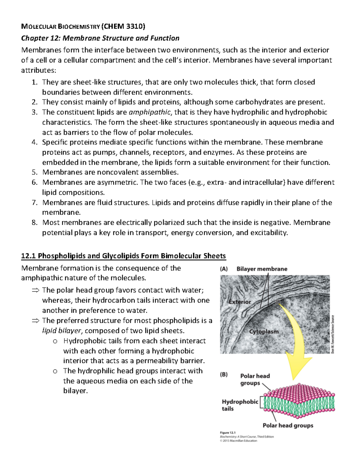 CHEM 3310 Biochem Ch. 12 - Membrane Structure and Function Notes - Studocu