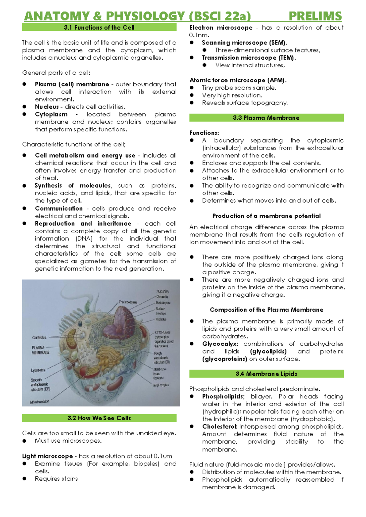 Anatomy & Physiology (BSCI 22a) Chapter 3 Prelims Overview - Studocu