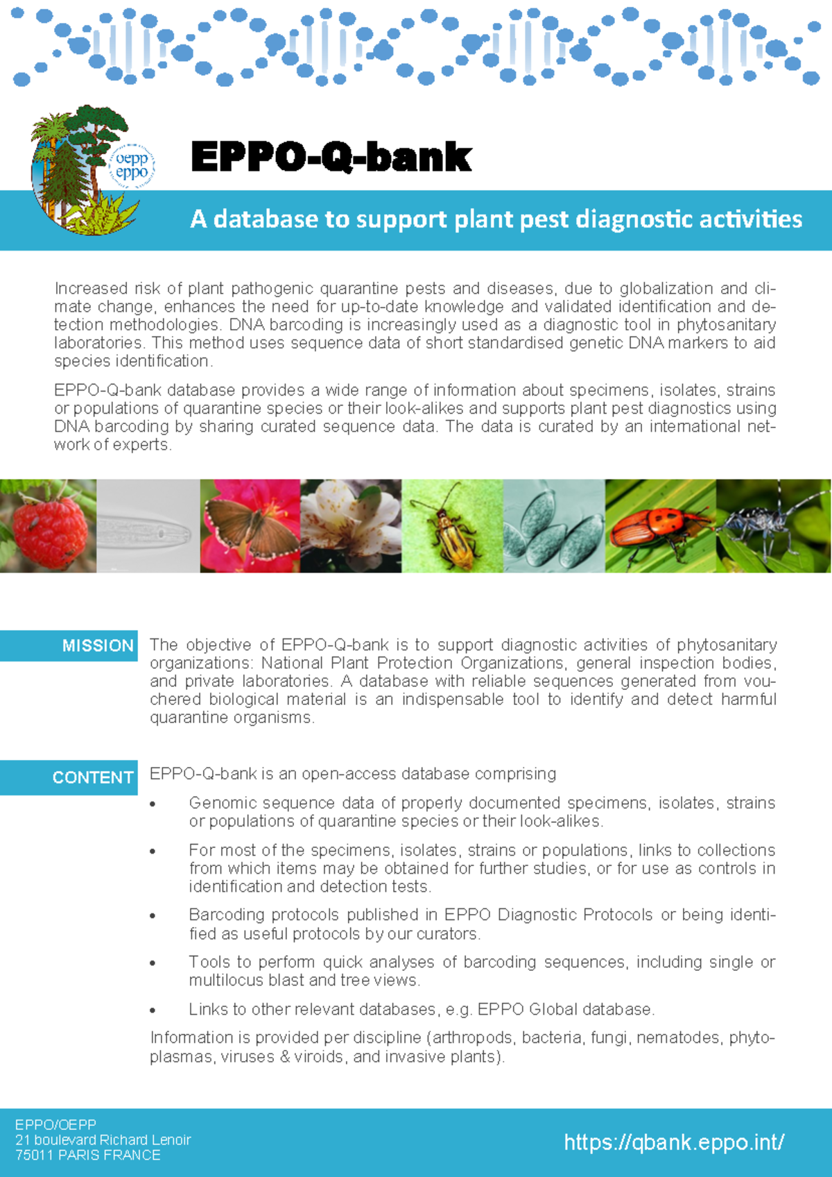 Factsheet EPPO-Q-bank V2 - EPPO-Q-bank A database to support plant pest ...