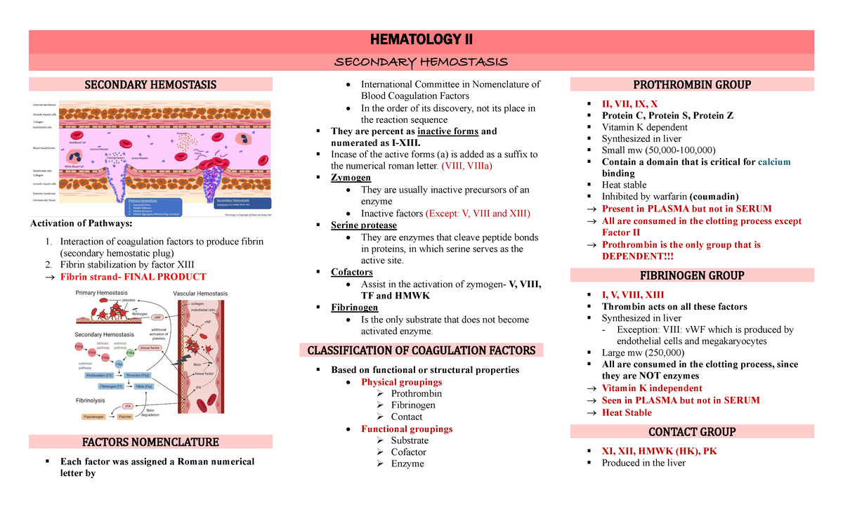 HEMATOLOGY II: Secondary Hemostasis Overview and Coagulation Factors ...