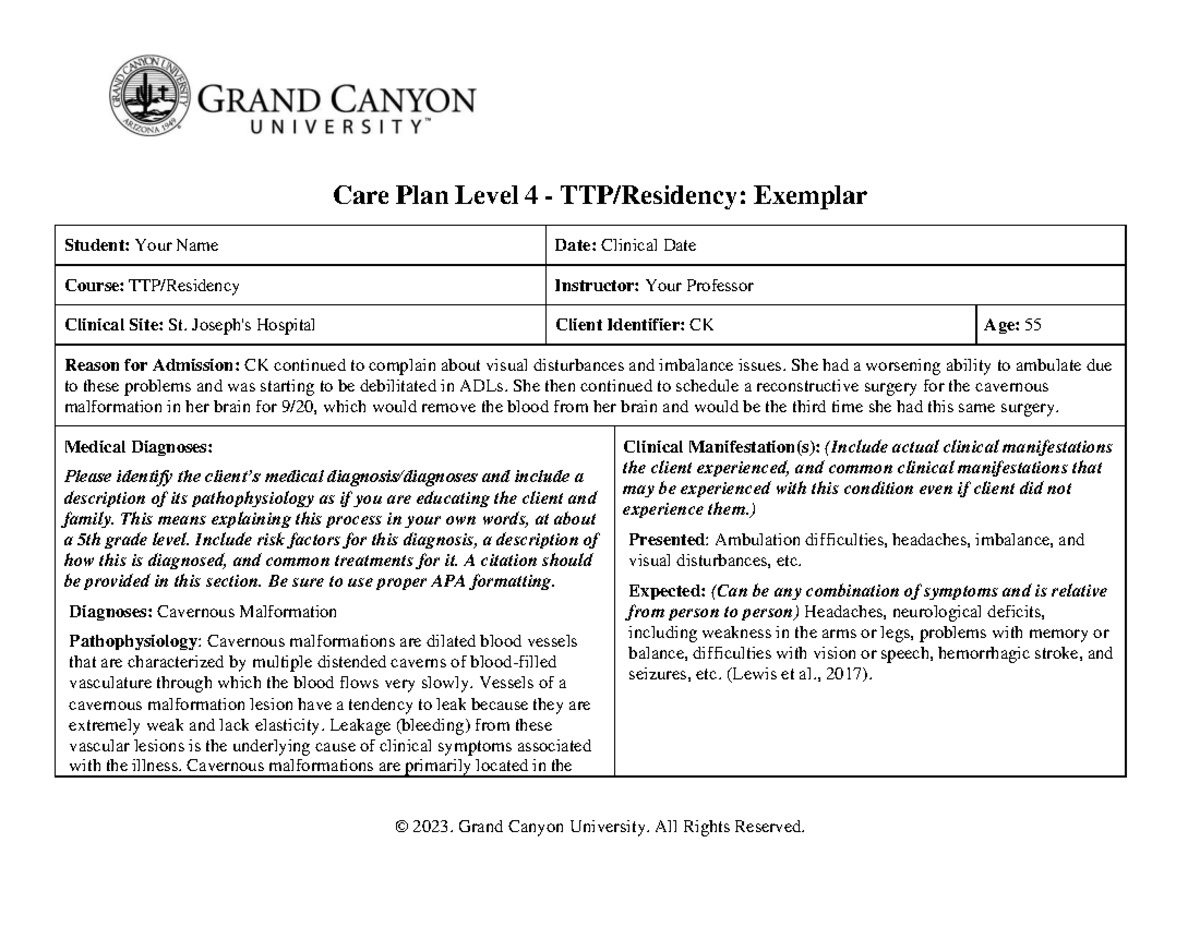 Level 4 Care Plan Exemplar - TTP/Residency Document - Studocu