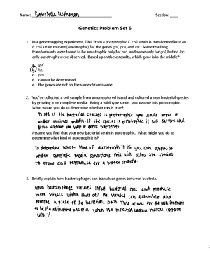 Genetics Midterm 1 Study Guide: Key Concepts and Principles - Genetics ...