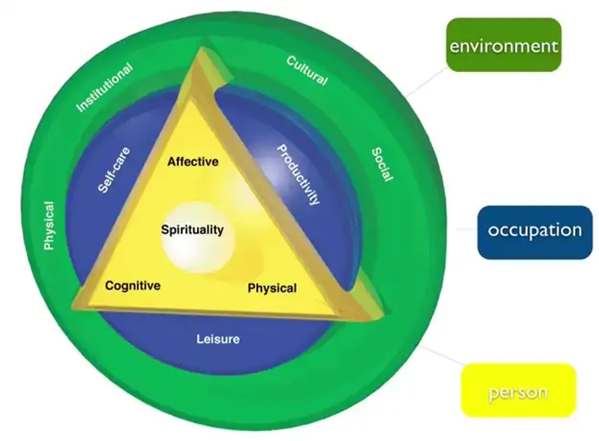CMOP-E Overview: Detailed Breakdown of Occupational Performance - Studocu