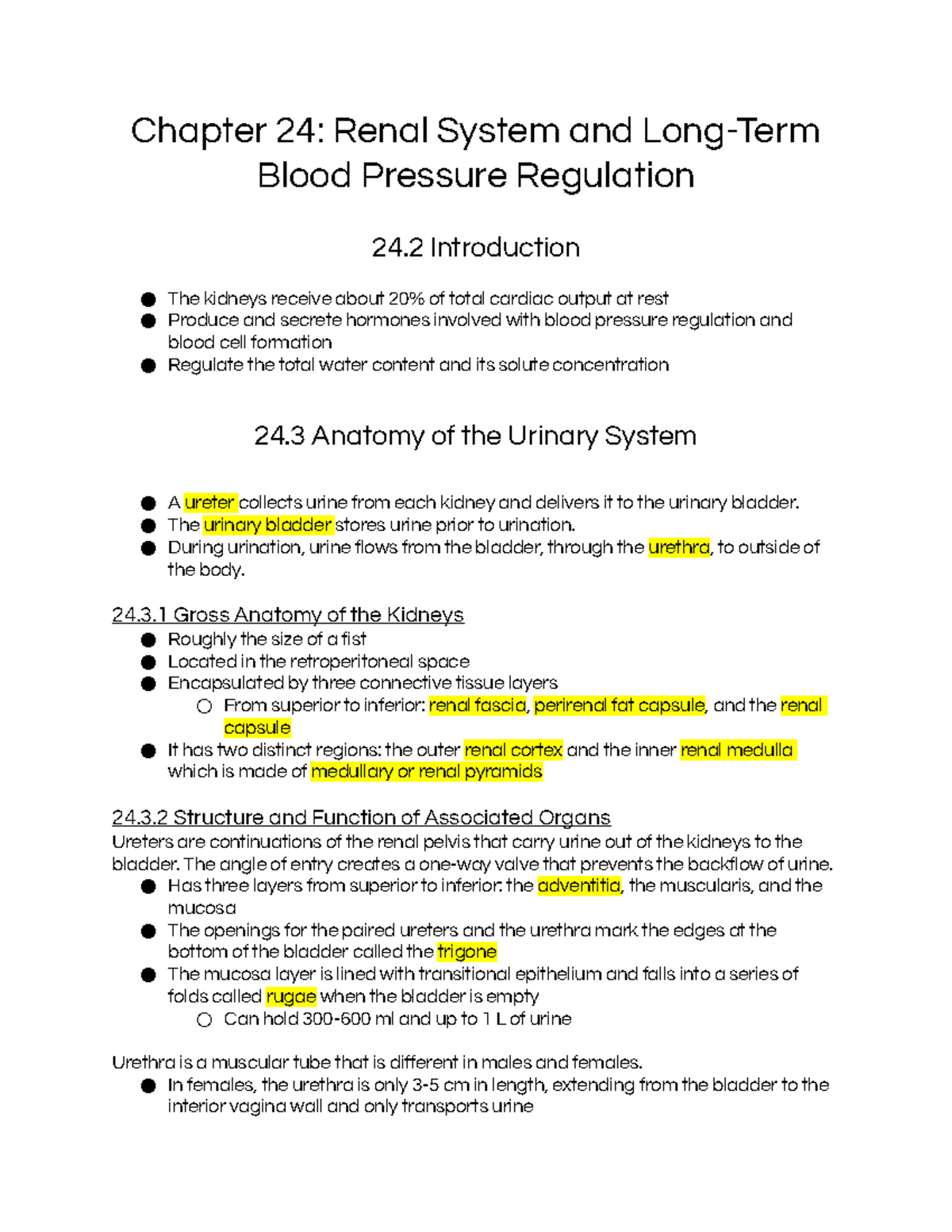 Chapter 24: Renal System - Comprehensive Notes on Anatomy and Function ...