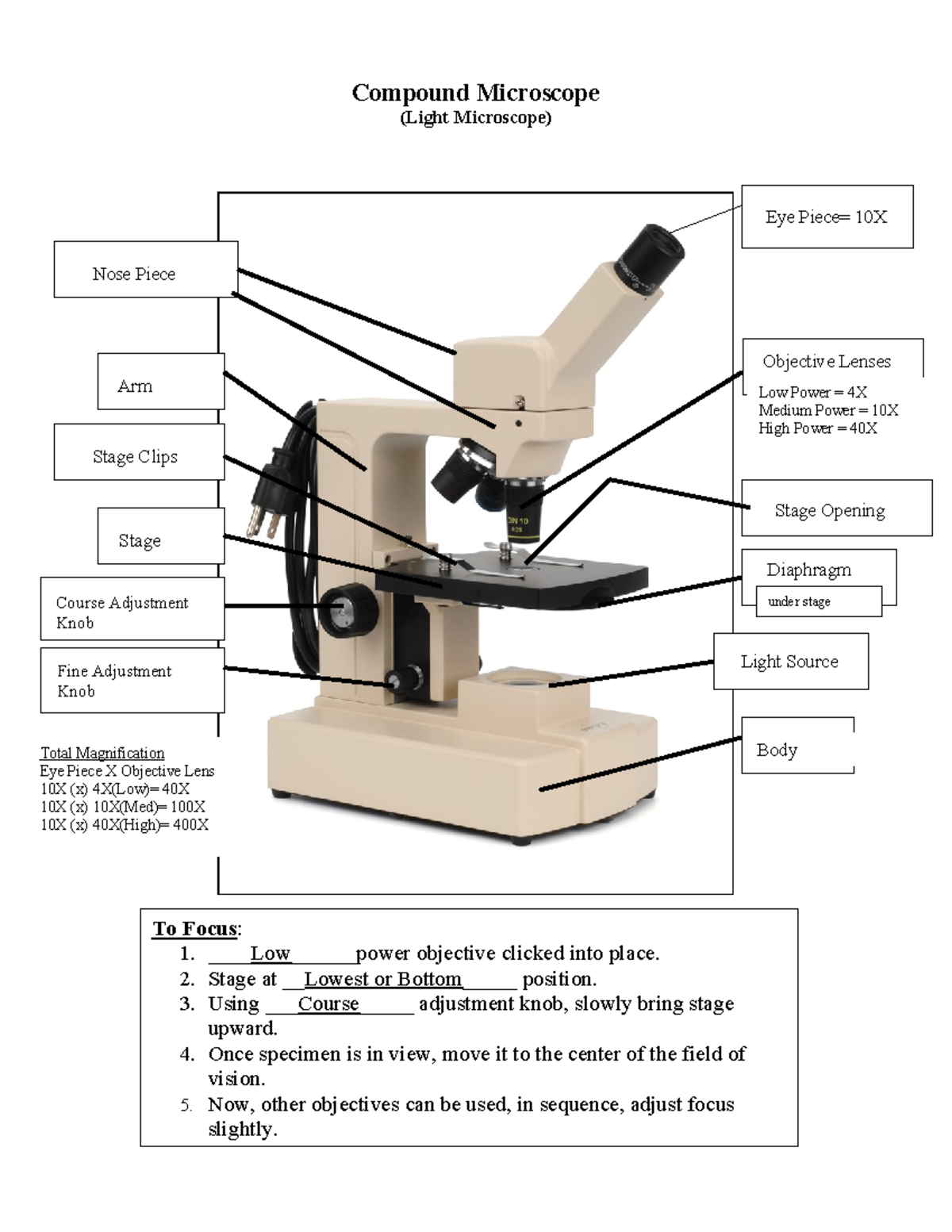 What Are The Three Objectives In A Compound Light Microscope