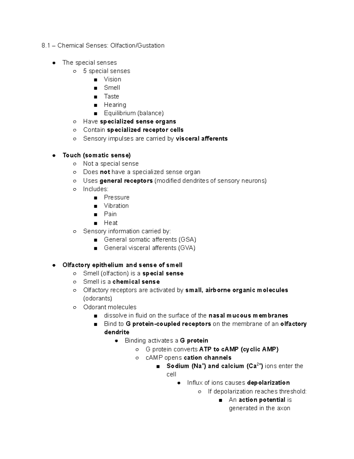Special Senses: Vision, Smell, Taste, and Hearing Overview - Studocu