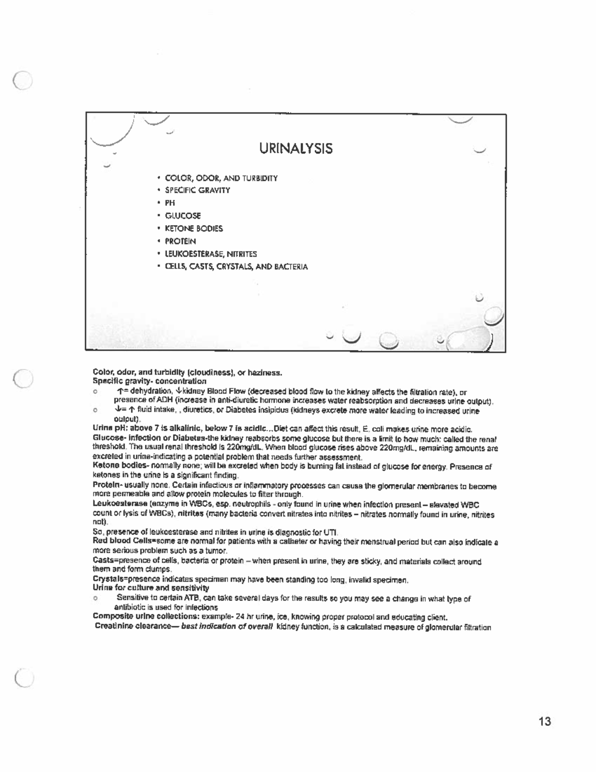 Urinalysis - study material - URINALYSIS COLOR, ODOR, AND TURBIDITY ...