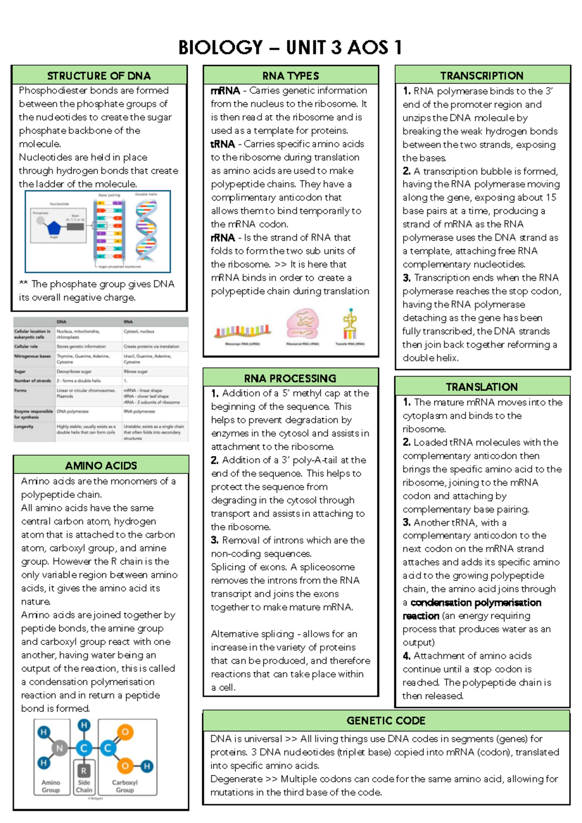 BIOLOGY UNIT 3 AOS 1 NOTES: STRUCTURE OF DNA AND RNA - Studocu
