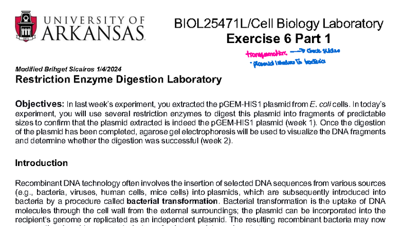 BIOL25471 Cell Bio Lab Manual: Lab Exercise 6 - Plasmid Transformation ...