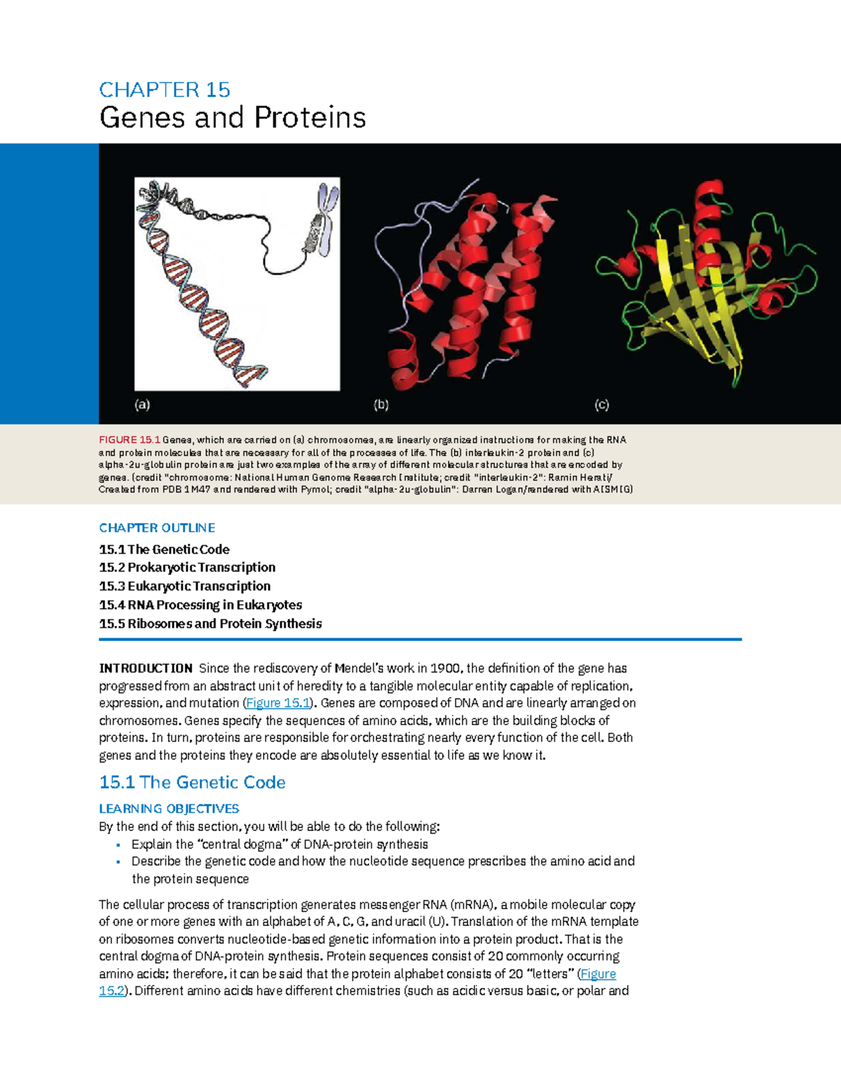 CHAPTER 15 Genes and Proteins: Understanding Transcription and ...
