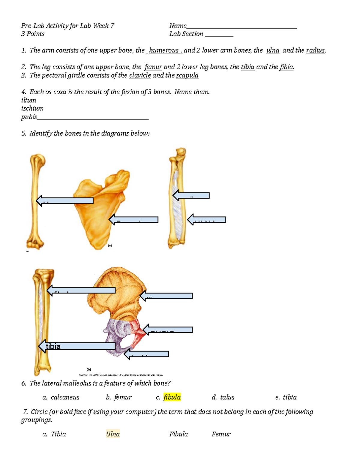 Notes 2 - Pre-Lab Activity for Lab Week 7 Name 3 Points Lab Section The ...