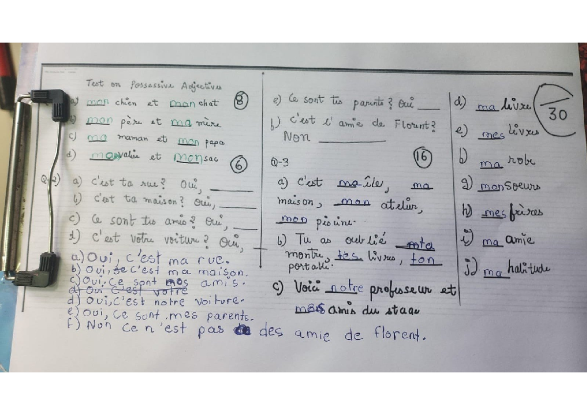 Homework Aarna - Langhy - Test on Possessive Adjectives ay mon chien at ...