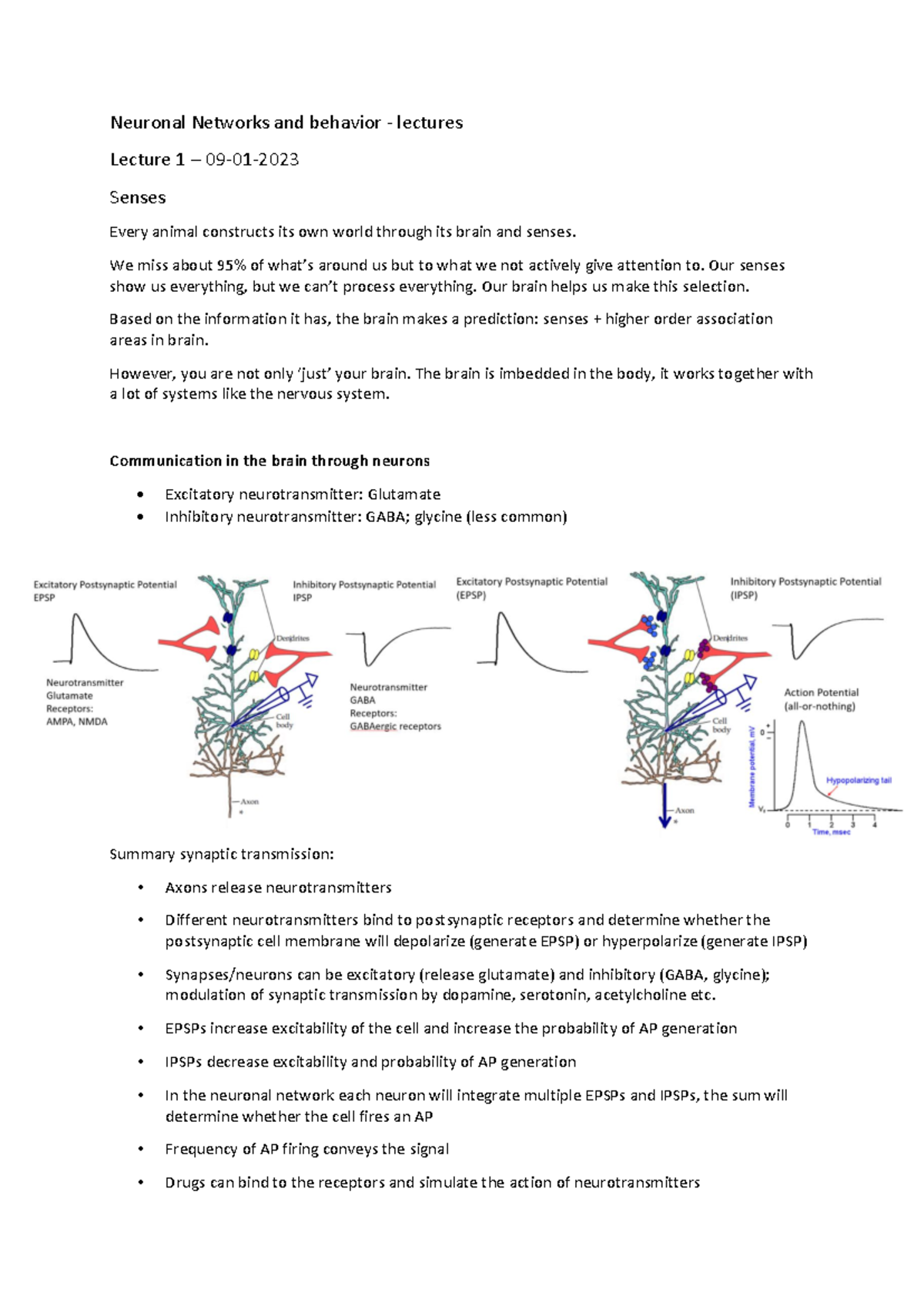 Neuronal Networks and Behavior: Summary of Lectures in NSC101 - Studeersnel