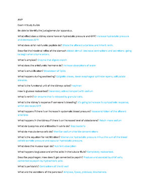 Content section 5- Fundamentals - Deprecated API usage: The SVG back ...