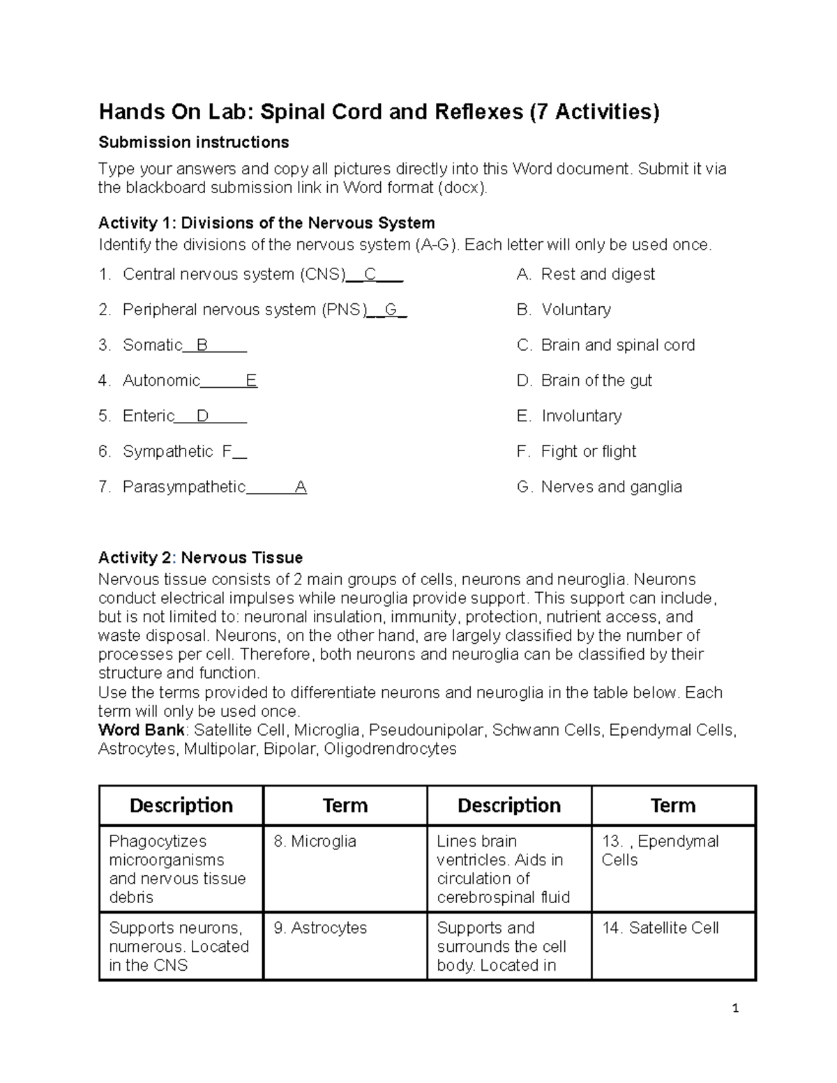Lab 7: Spinal Cord and Reflexes - Hands-On Activities Guide - Studocu