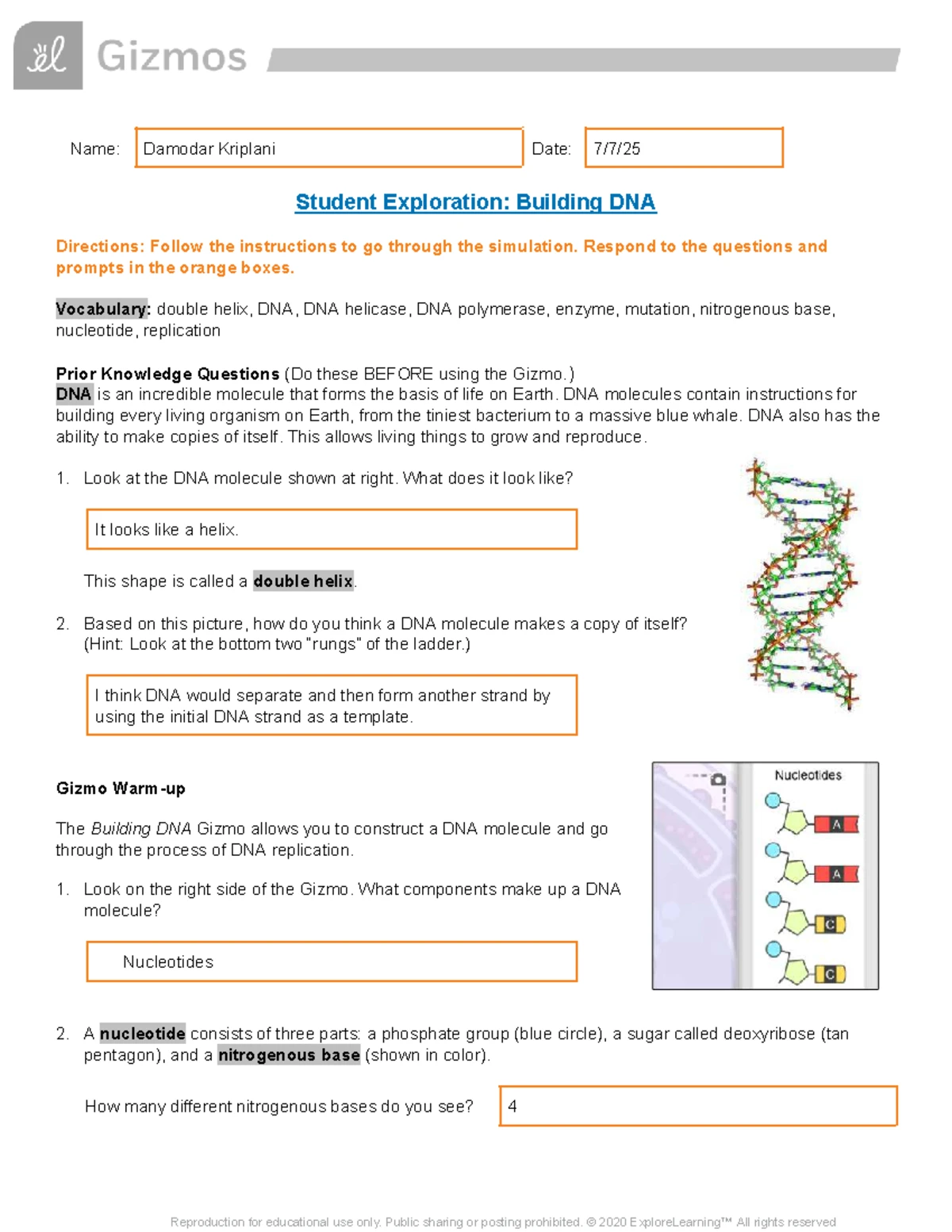Human Karyotyping Simulation Exploration (SE) - Damodar Kriplani - Studocu
