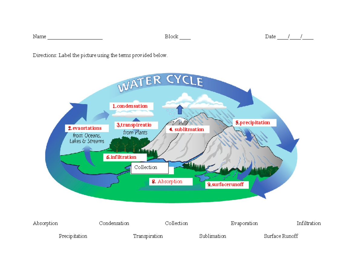 Biogeochemical Cycles - \, image size:1200x927