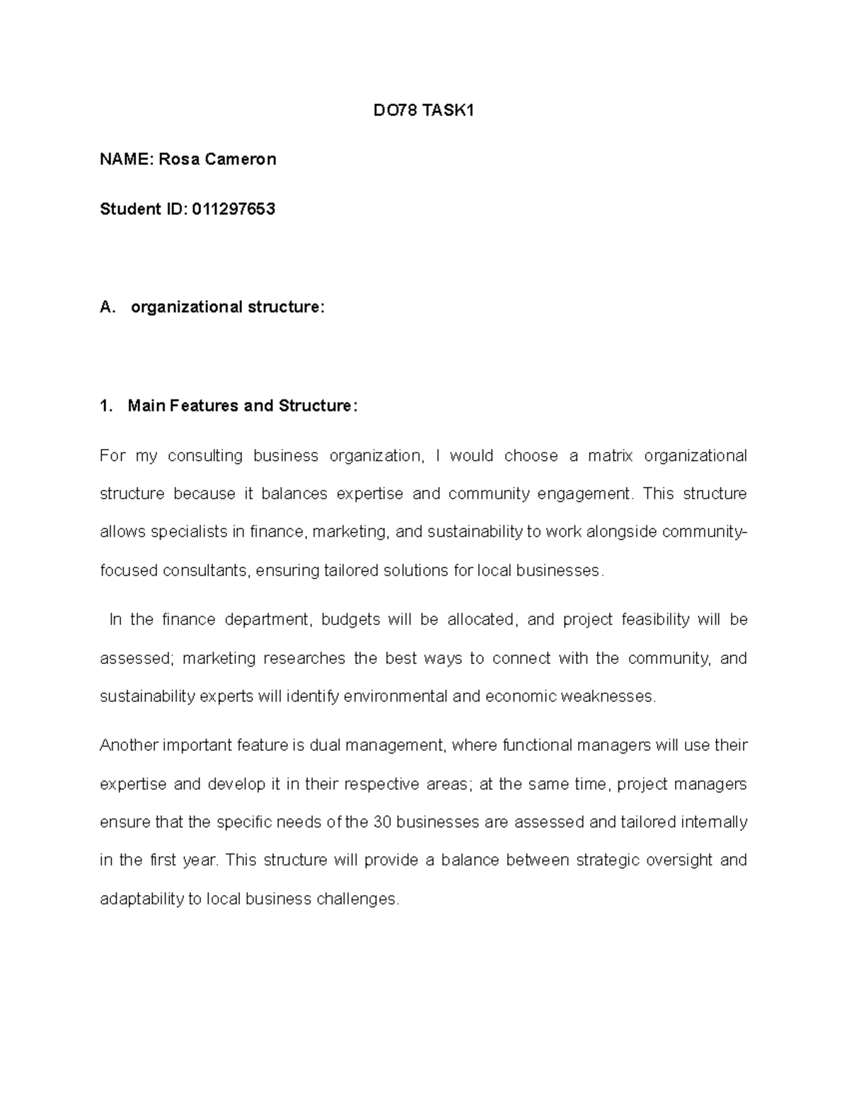 DO78 Task 1: Matrix Organizational Structure for Consulting Business ...