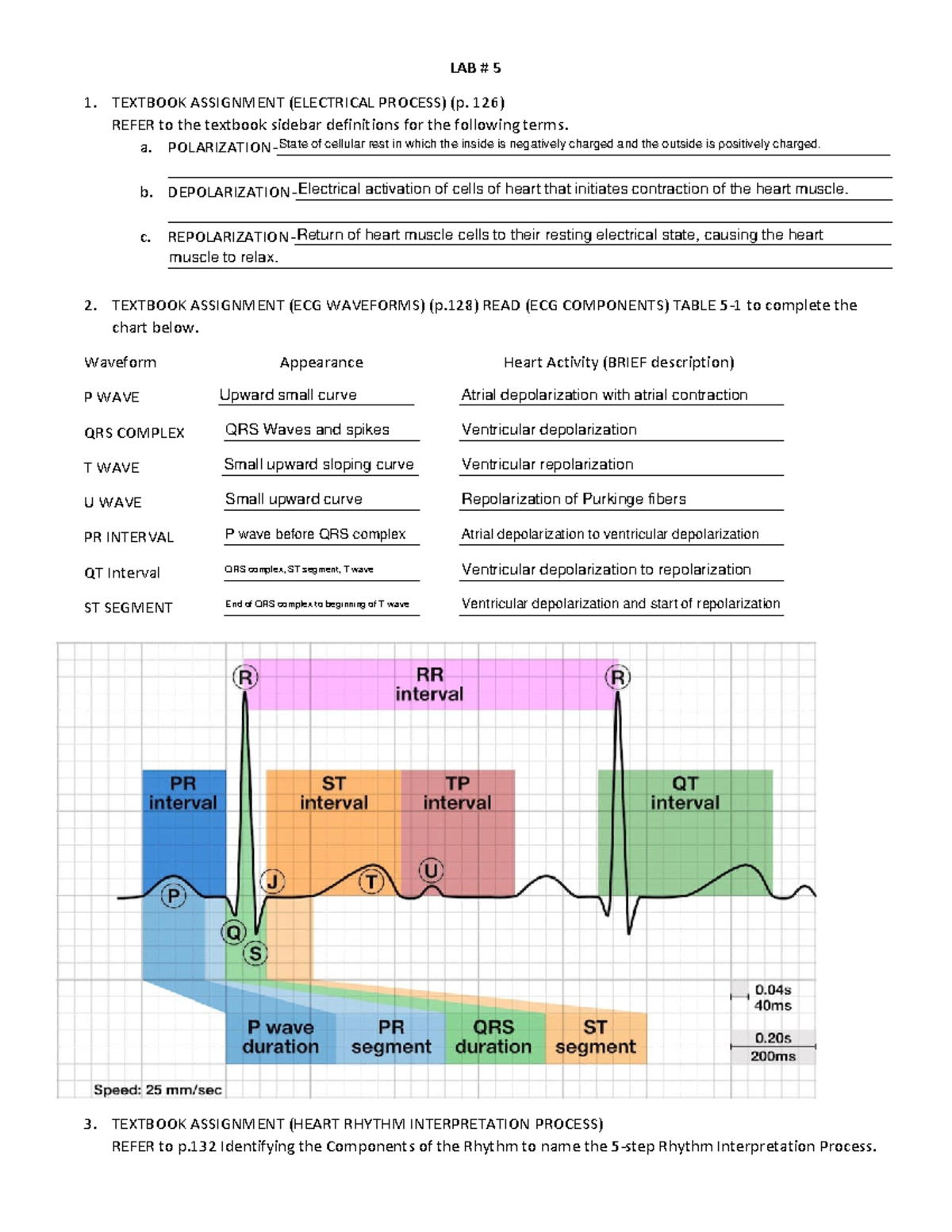CCT LAB 5 - ECG Waveform & Rhythm Interpretation Notes - Studocu