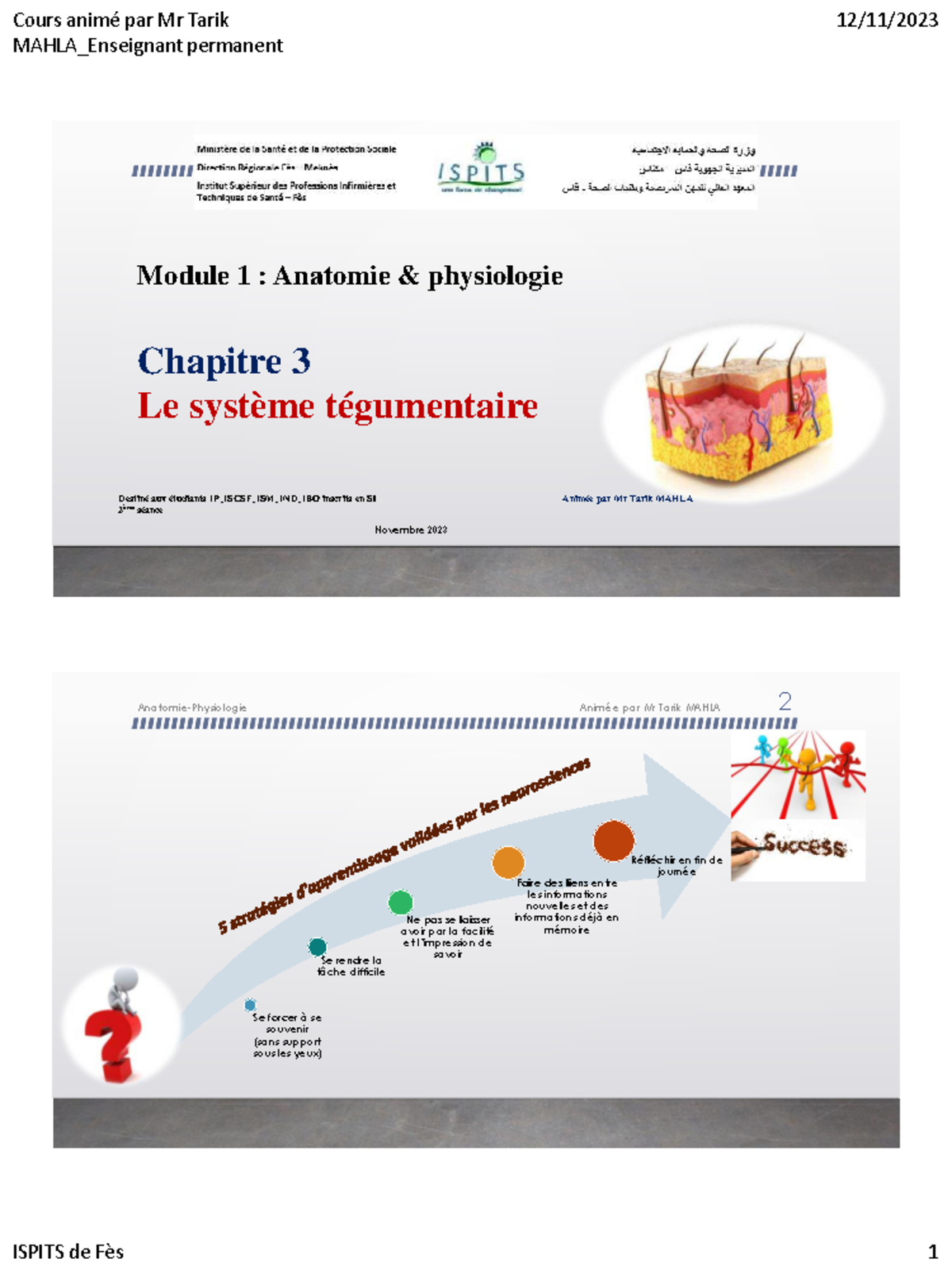 Module 1 : Anatomie - Chapitre 3 : Le Système Tégumentaire (S1) - Studocu