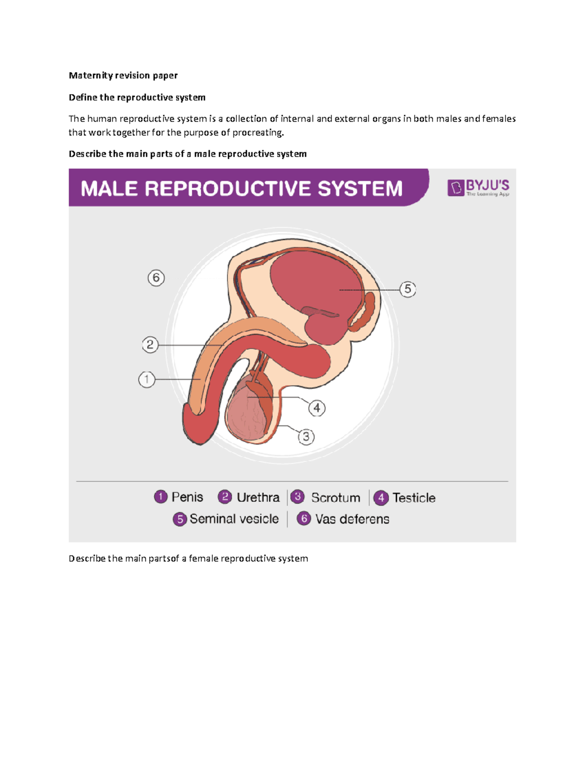 Maternity Revision Paper: Understanding Reproductive Systems and Care ...