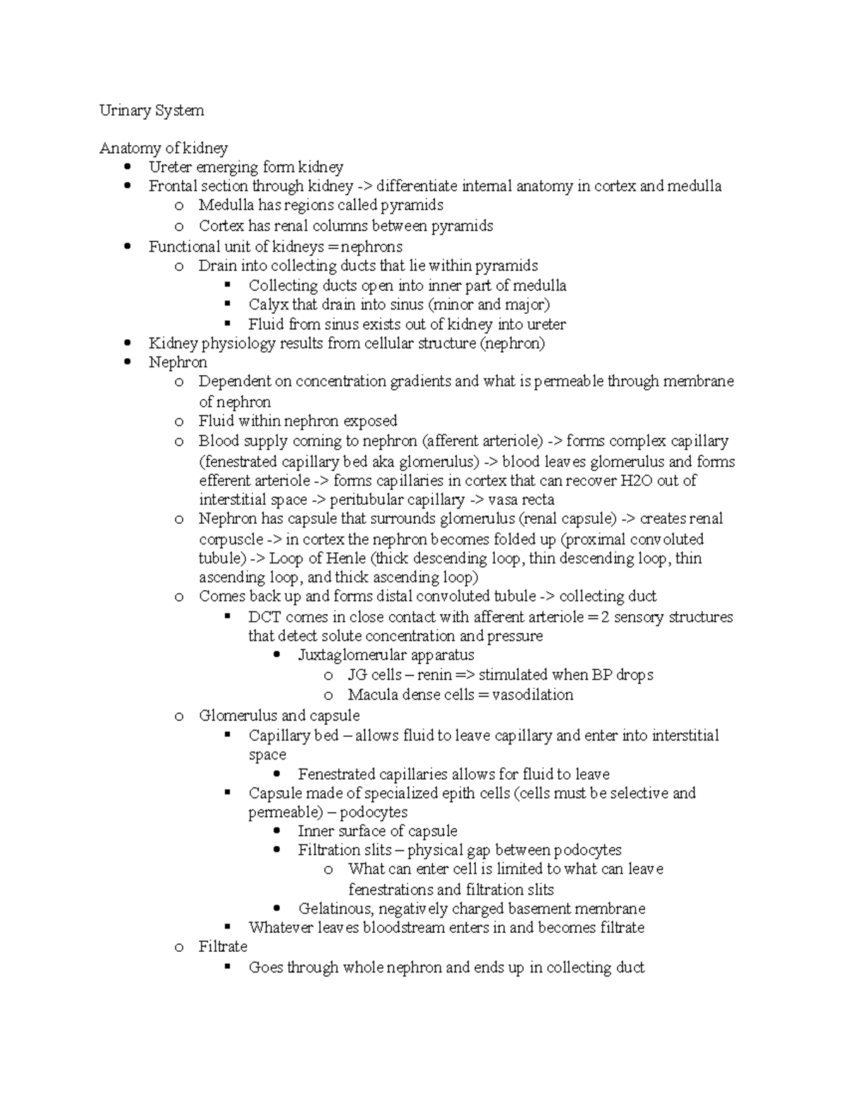 Urinary - Anatomy II lecture notes with Anthony Uzwiak for 2021/2022 ...
