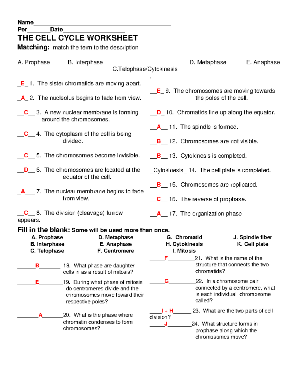 Cell cycle worksheet answers - Name ...