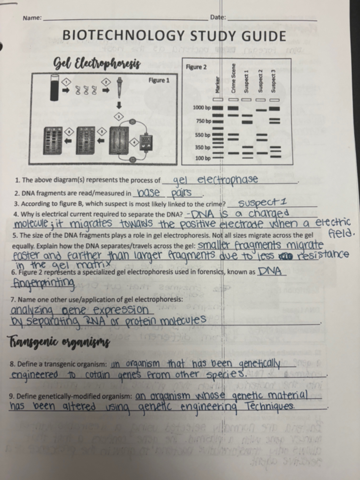 Final Exam Review Notes for Course ABC123 - Name: Date: BIOTECHNOLOGY ...