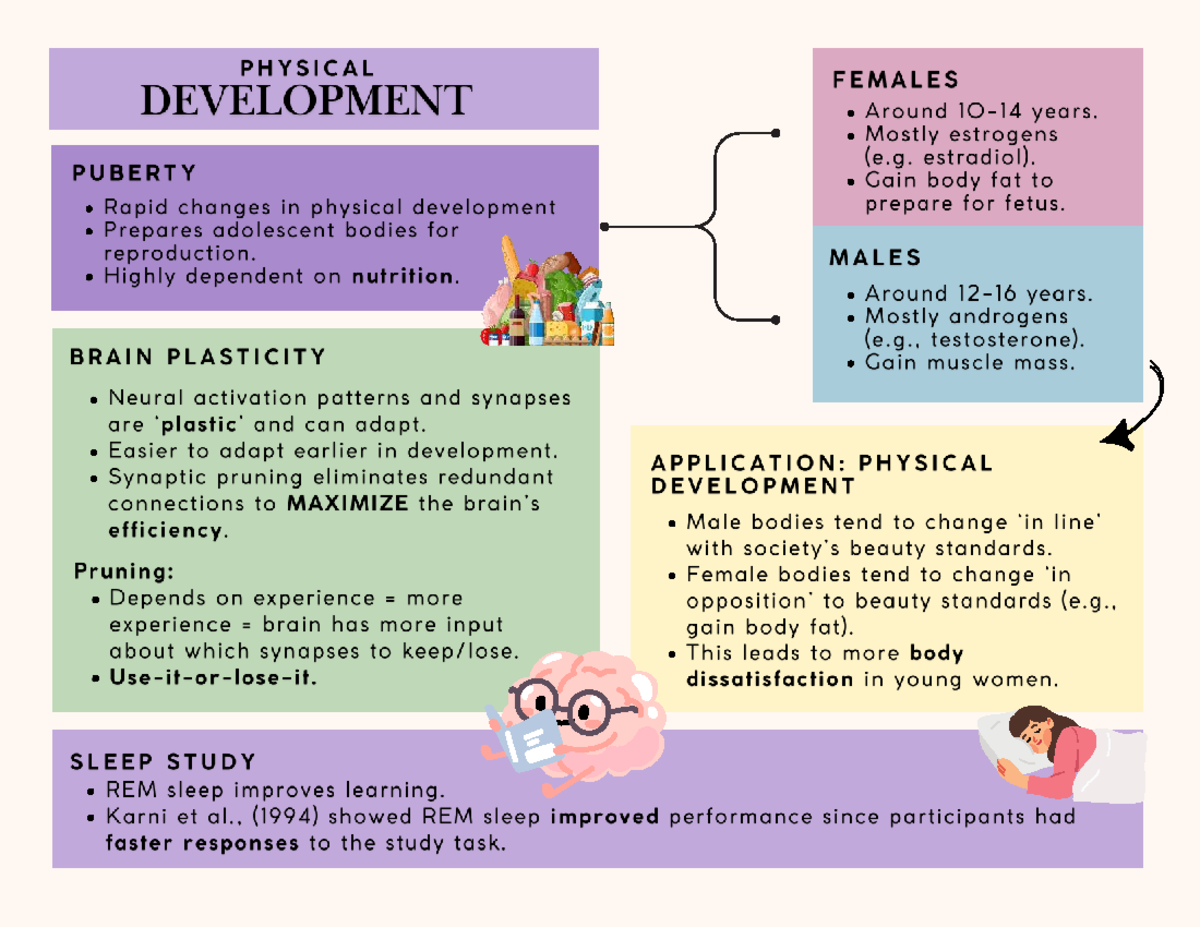 Physical Development 1 Page Summary - PHYSICAL FEMALES DEVELOPMENT ...