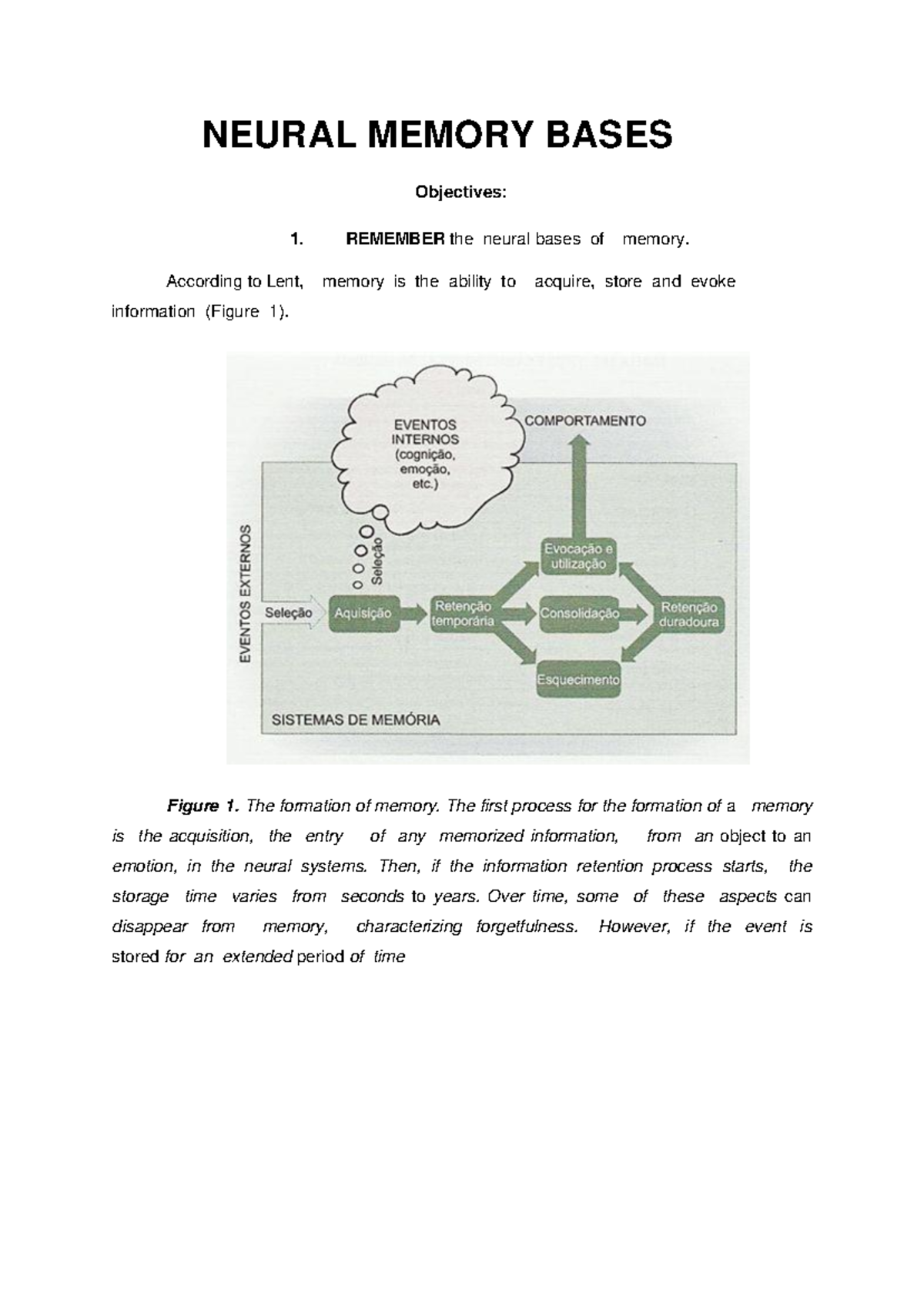 Neural Memory Bases - NEURAL MEMORY BASES Objectives: 1. REMEMBER the ...