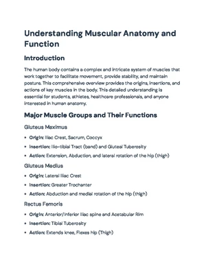 Understanding Key Muscles of the Lower Body: Anatomy & Functions ...