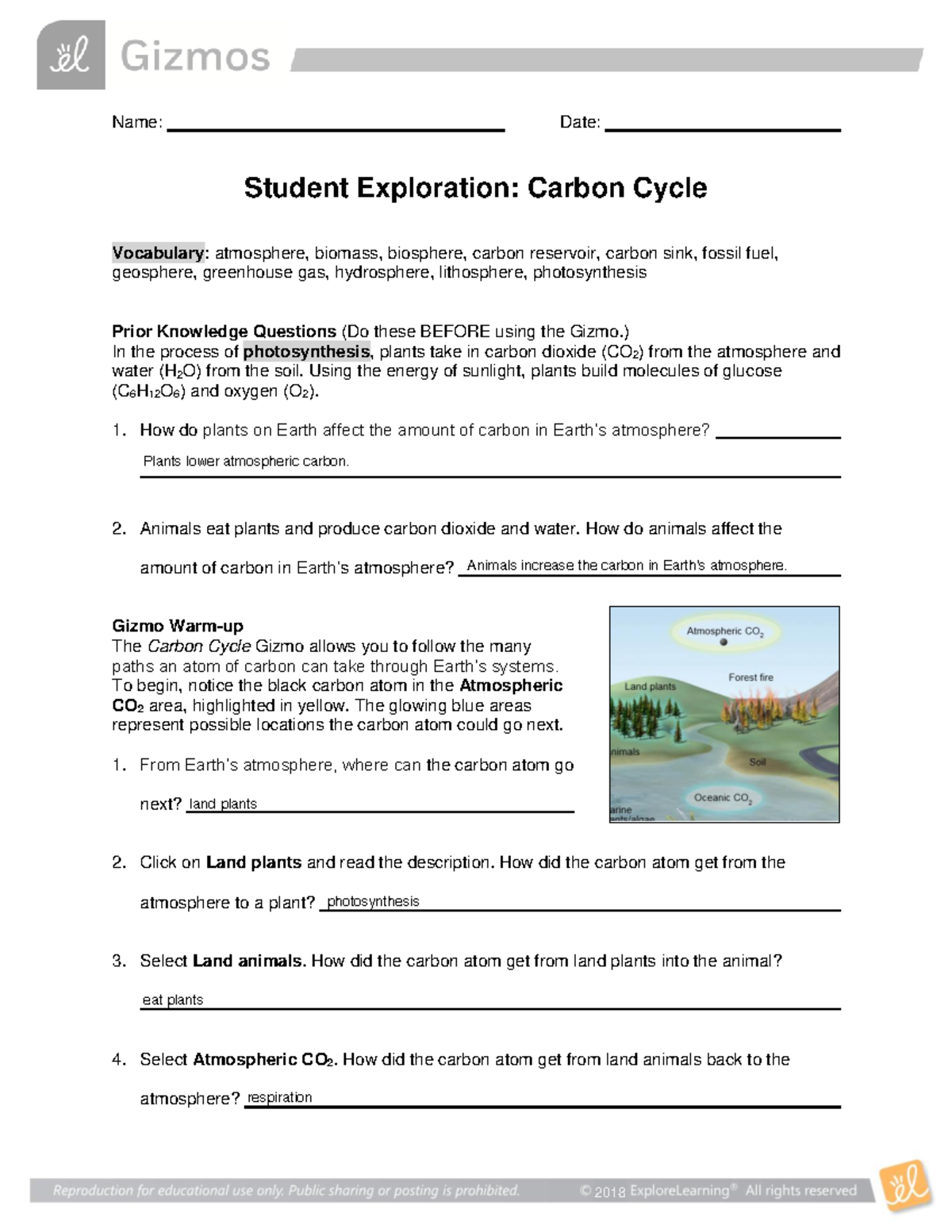 Carbon Cycle SE - Student Exploration Assignment - Studocu