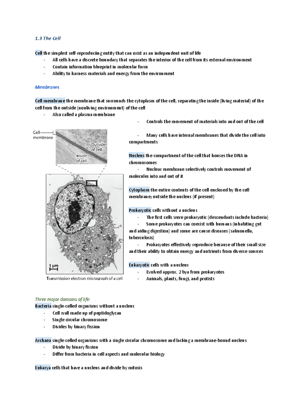 BIO 101 Final Exam Notes: Cell Structure and Function Overview - Studocu
