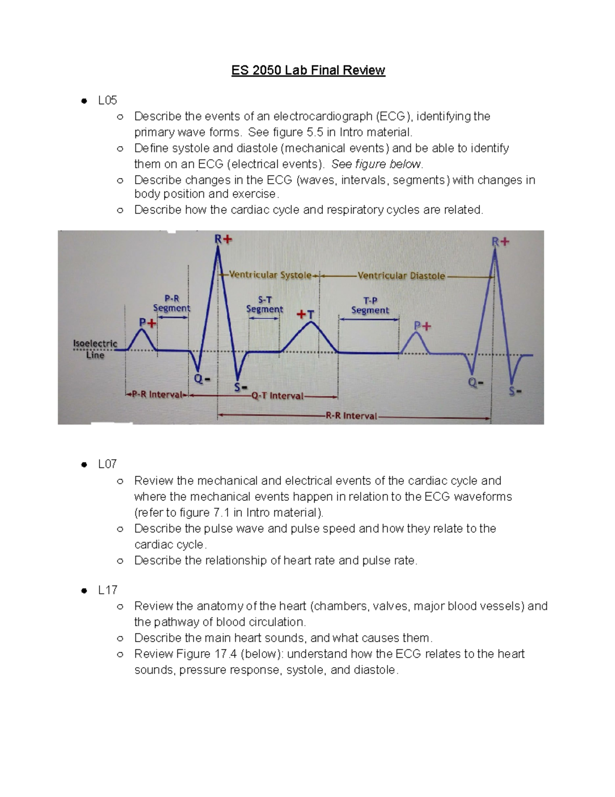 ES 2050 Lab final review: ECG, cardiac cycle, blood pressure, and lung ...