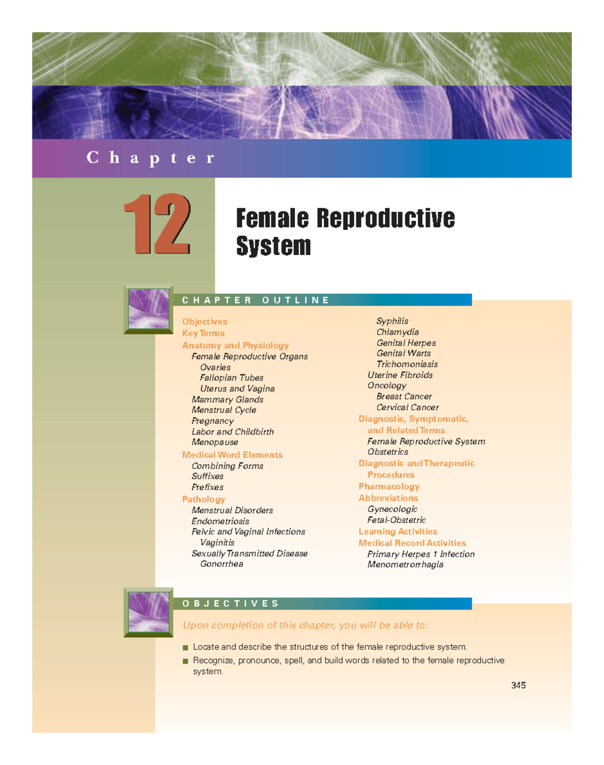 Female Reproductive System Overview - MedTerm Chapter 12 - Studocu