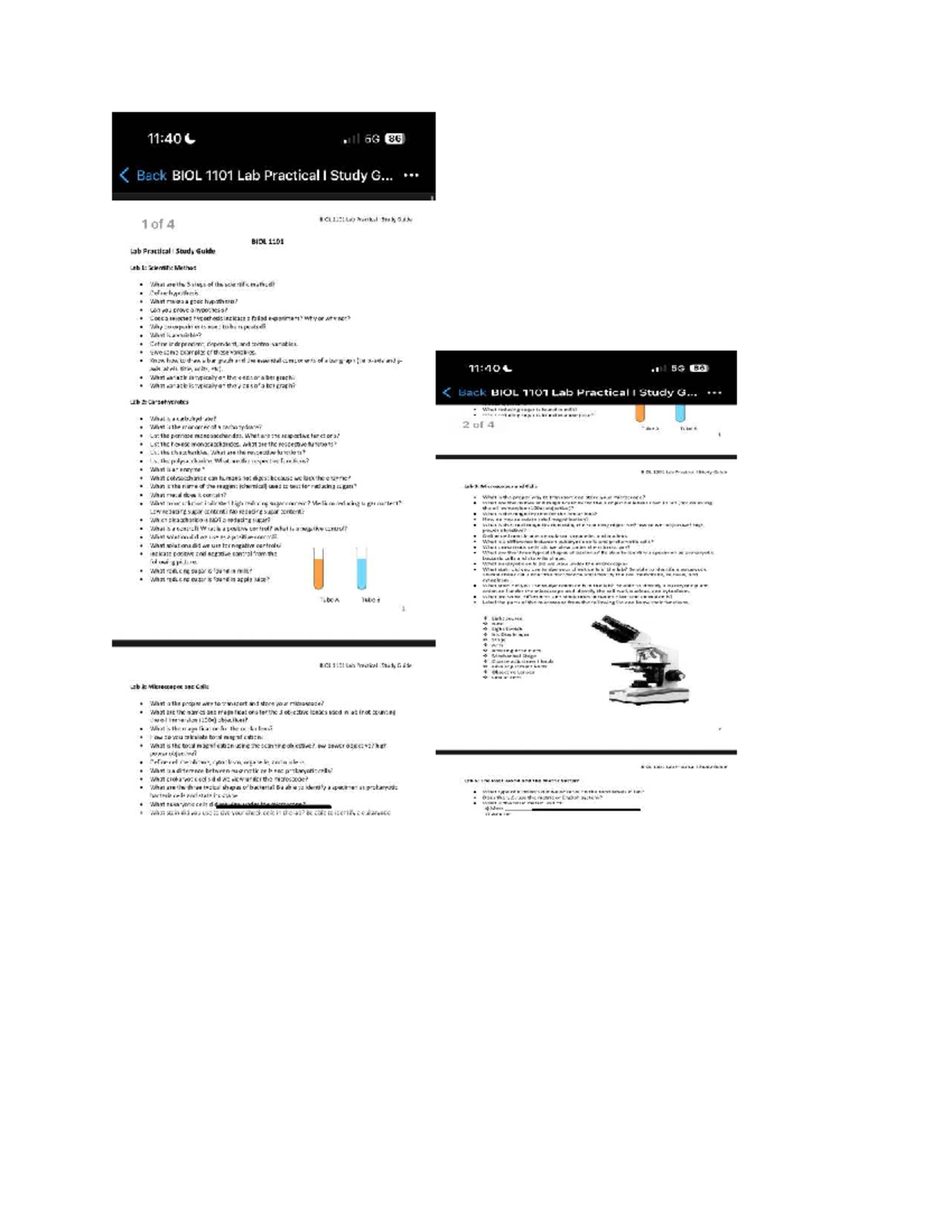 BIOL 1101 Lab Practical I Study Guide: Key Concepts and Overview - Studocu