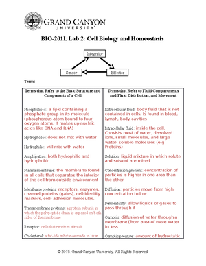 BIO201L Activity 1 Modified - BIO-201L: Activity 1 Directions: This ...