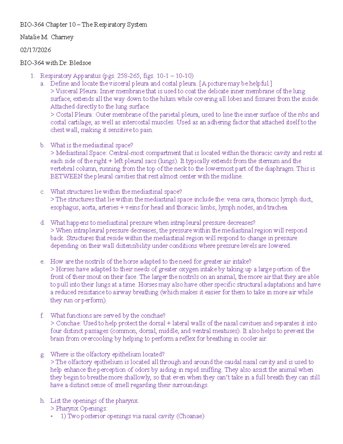 BIO-364 Chapter 10: The Respiratory System Overview and Key Concepts ...