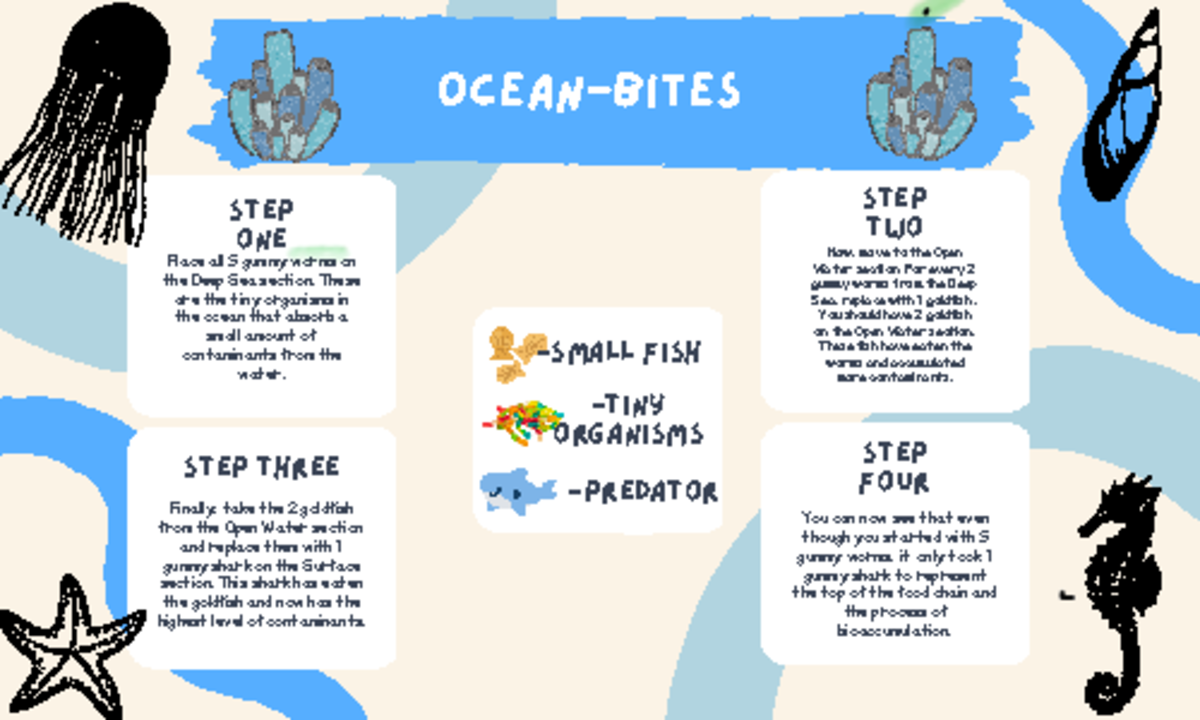 Ocean Ecosystem Simulation: Understanding Bioaccumulation Process - Studocu