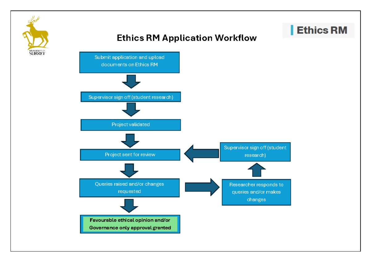 Ethics process flow Ethics RM 30 - COM3009 - Ethics RM Application ...