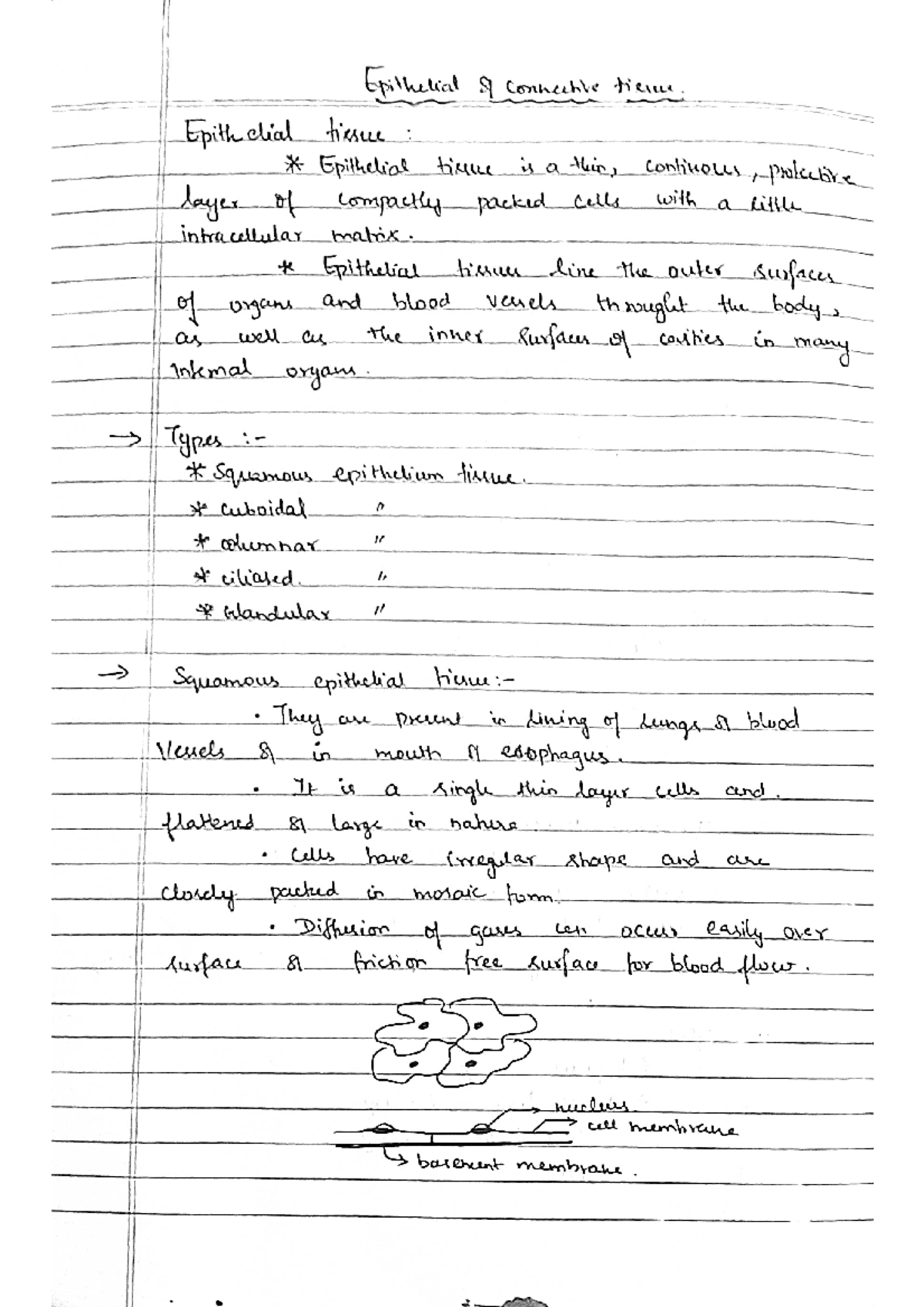 Epithelial and Connective Tissue Overview - BIOL 101 Lecture Notes ...