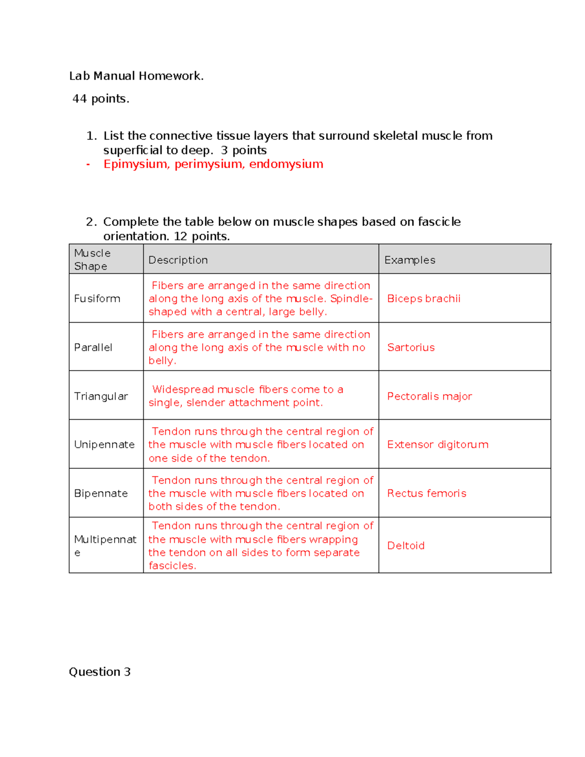 Lab Manual Homework 4: Connective Tissues & Muscle Shapes - Studocu