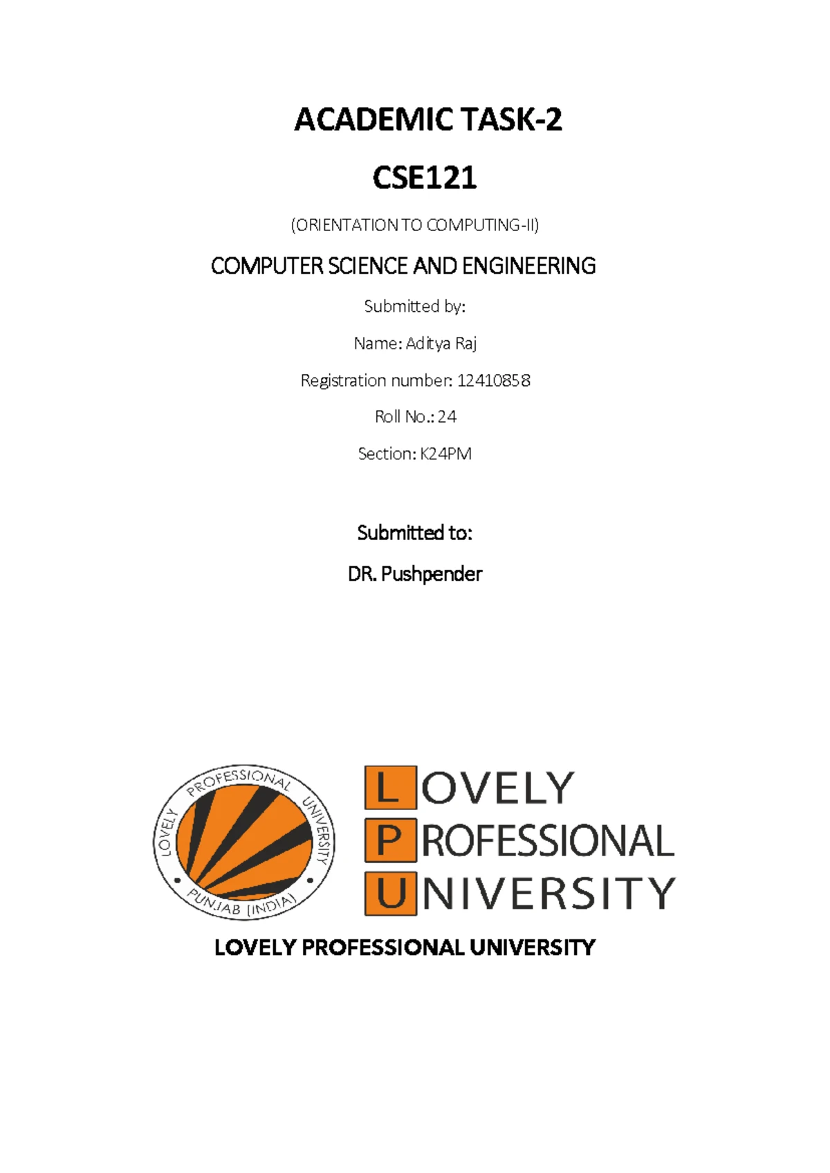 CSE121 profile creation project report for computer science engineering ...
