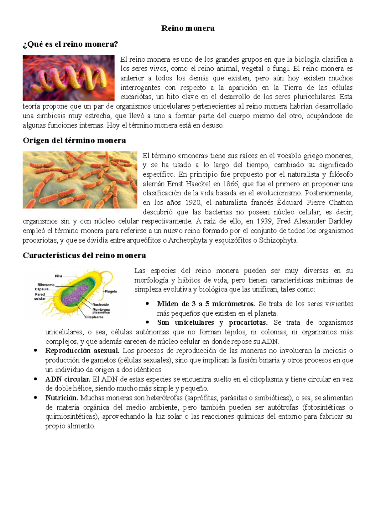 Reino Monera: Características, Origen y Evolución del Reino - Studocu