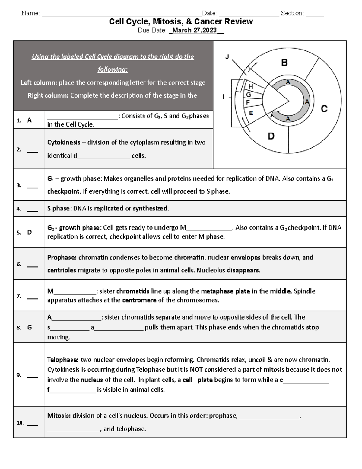 The Cell Cycle Worksheet - Name ...