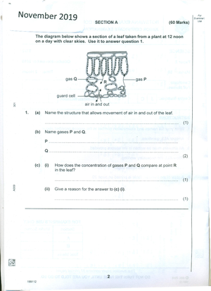2018 exam - JCE Science Practice Material - November 2018 For SECTION A ...