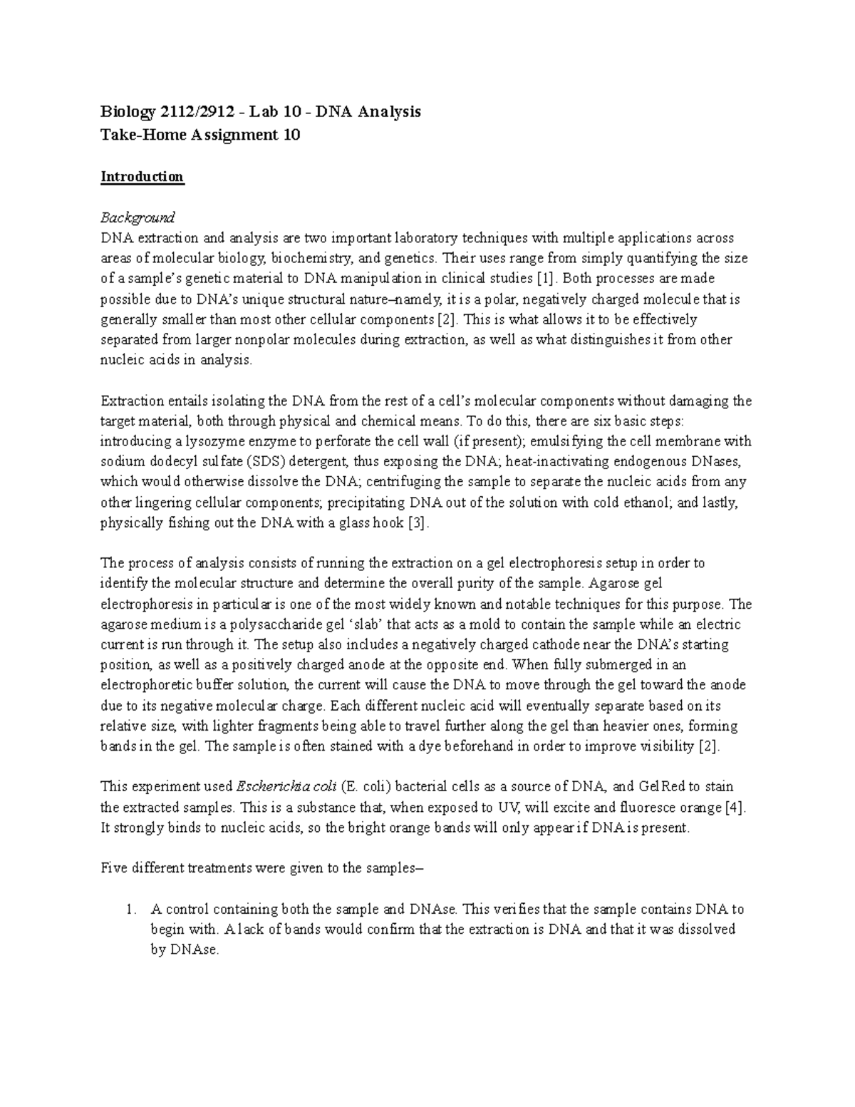 Biology 2112/2912 - Lab 10: Comprehensive DNA Analysis Techniques - Studocu