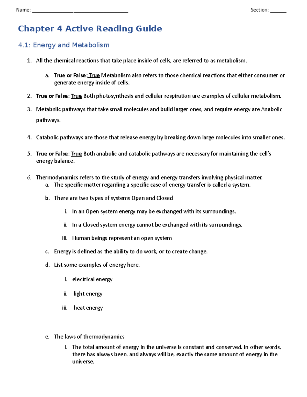 Chapter 4 Active Reading Guide (ARG) - Energy and Metabolism Insights ...