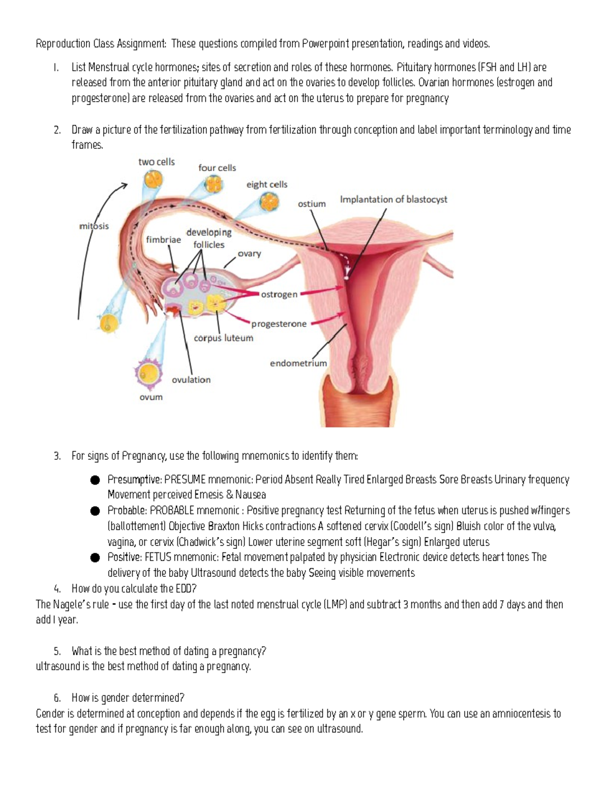 Reproduction Class Assignment: Key Questions & Answers - Studocu