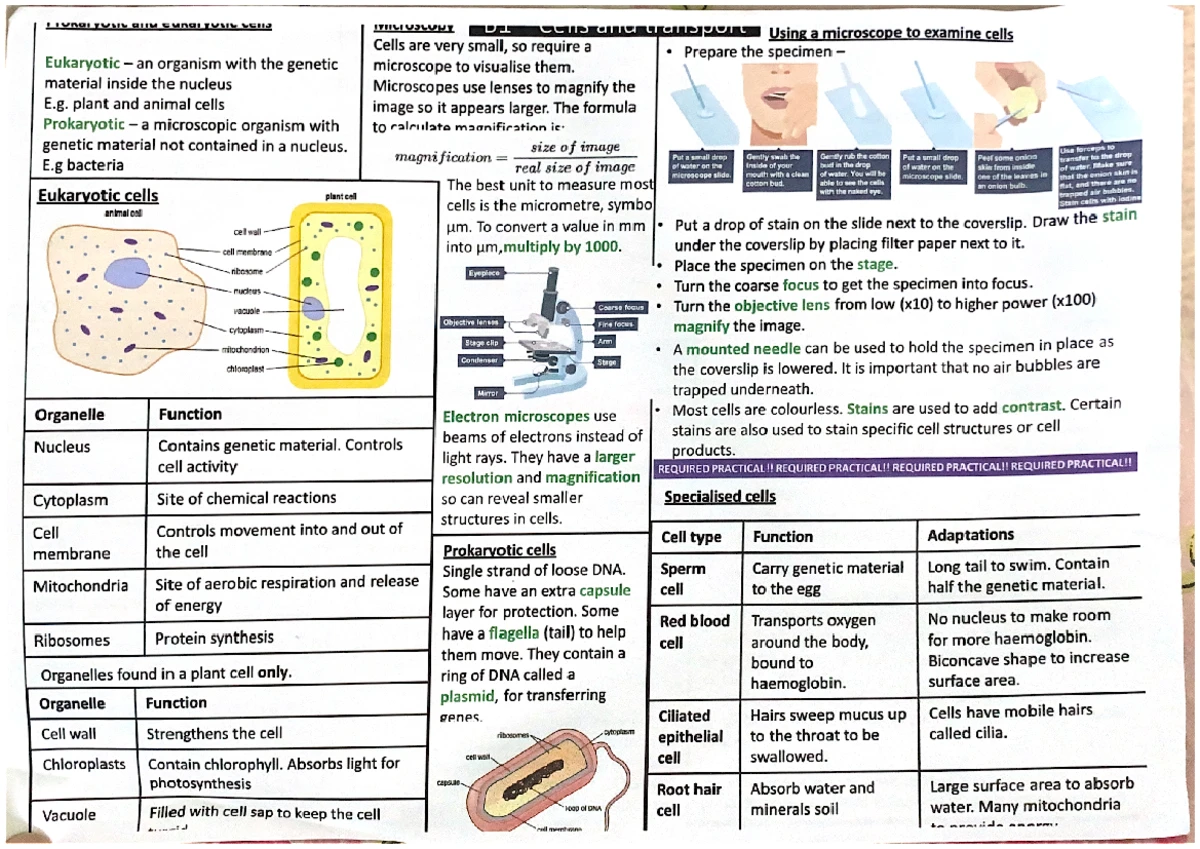 1.2. Periodic Table Notes for AQA GCSE Chemistry (Atomic Structure ...
